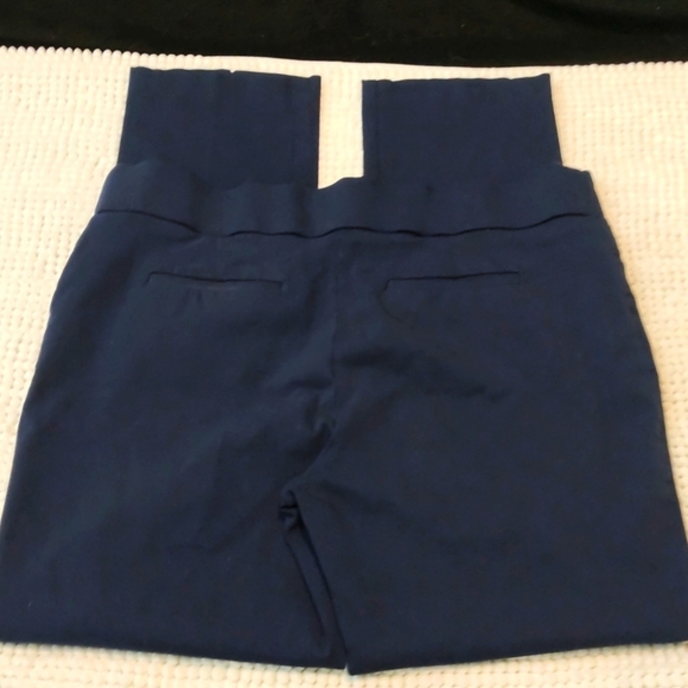 Style & Co Navy Blue Ankle Pants Size 14 EUC #6526 - Picture 2 of 5